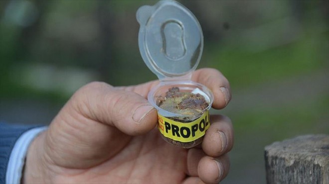  Dünya piyasalarındaki propolisin yüzde 90 ı sahte 