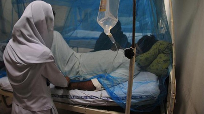  Sıtma dünya genelinde 429 bin can aldı 