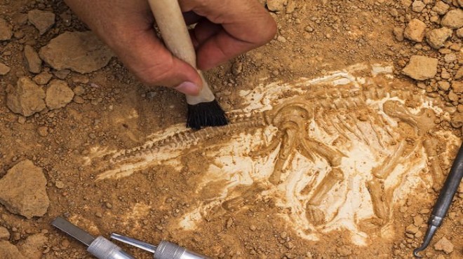 127 milyon yıllık fosil bulundu