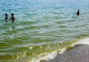 Antalya sahilinde panik: Deniz yeşile döndü… 