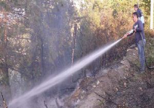 Köyceğiz de orman yangını: 30 hektar kül oldu