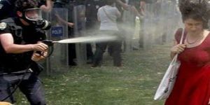 AK Partili Vekil’den çarpıcı ‘Gezi’ raporu: Başbakan… 