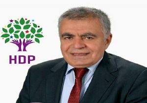 İzmir’de vekil seçilen HDP’li Doğan’dan ‘emanet oy’ mesajı 
