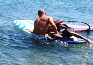 Sörf yapan Yunanlı, Suriyeli mülteciyi kurtardı