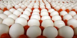 ‘AB efekt’: Bakkallar artık yumurta satamayacak!