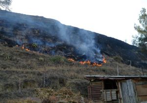 Salihli’de yangın: 5 hektar kül oldu 