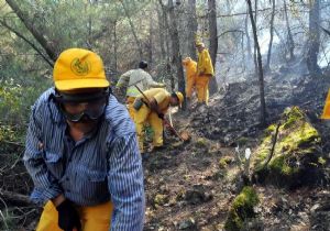 Bodrum da orman yangını: 5 hektar kül oldu