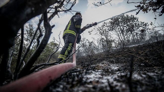 9 ilde çıkan orman yangınları söndürüldü