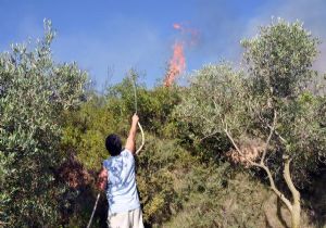 Makilik alanda korkutan yangın: 30 hektar zarar gördü