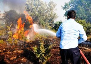 Dikkatsizlik Bodrum da 2 hektar yeşili kül etti