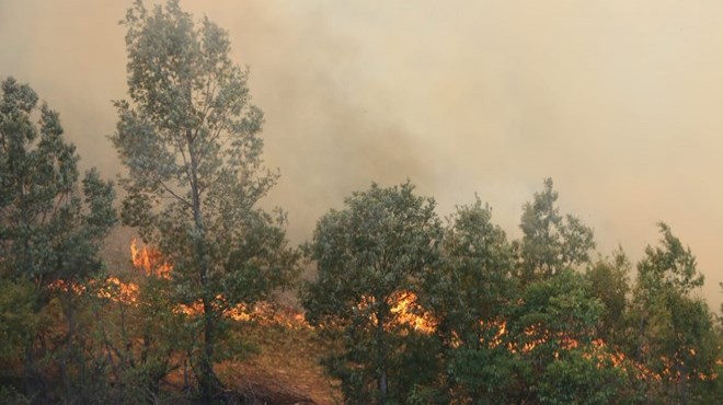Adana da orman yangını: 6 köy boşaltıldı