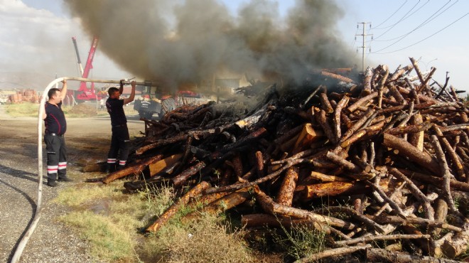Afyon’da araçtan atılan izmarit yangına neden oldu