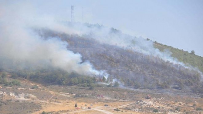 Alevler sönmek bilmiyor: Aliağa da 1 hektar kızılçam ormanı yandı!