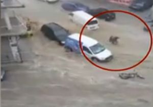İzmir’de kabus görüntüleri: Sel suları vatandaşları, arabaları… 
