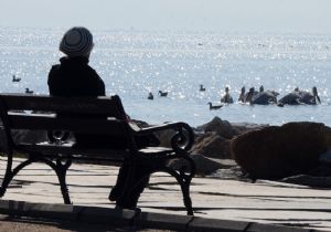 İzmir Körfezi’nin 2013 raporu: Muhteşem kareler 