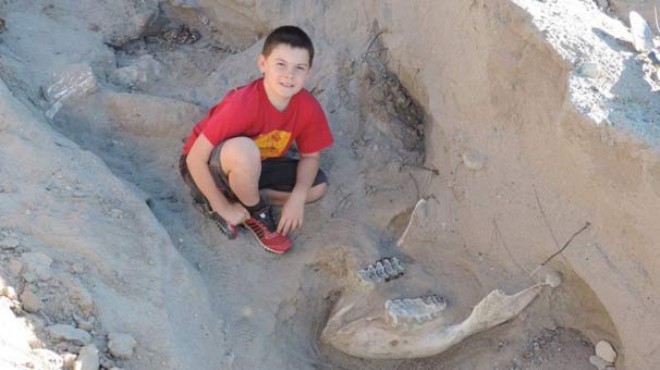 Ayağı takıldı, 1 milyon yaşında fosil buldu