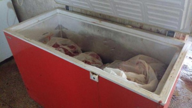 Aydın’da baskın: 1 ton kaçak domuz eti
