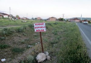 Afyon’da kuduz paniği: O köy karantinada 