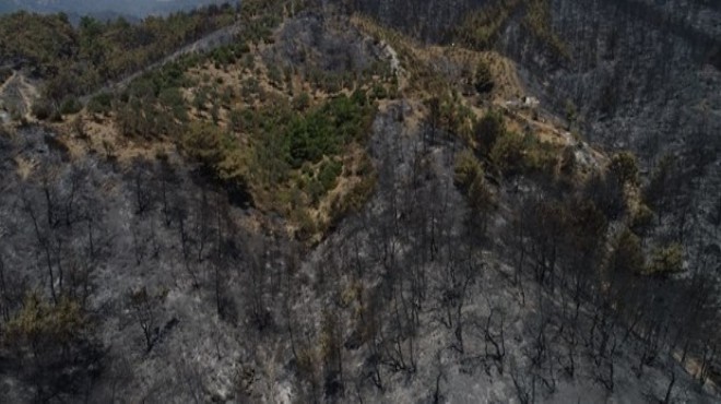 Bakan Selçuk tan orman yangını paylaşımı
