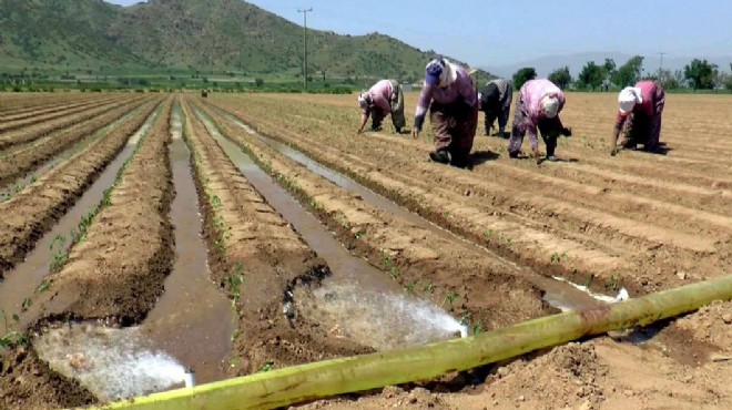Bakanlık tan İzmirli çiftçilere  100 milyonluk cansuyu 