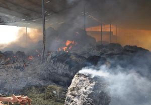 Besi çiftliğinde yangın paniği: 600 balya saman kül oldu
