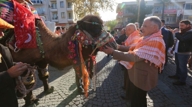 Başkan Bakıcı açıkladı: UNESCO ya deve güreşi başvurusu