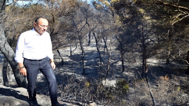 Başkan Oğuz yangın bölgesinde: Yeniden ağaçlandıracağız