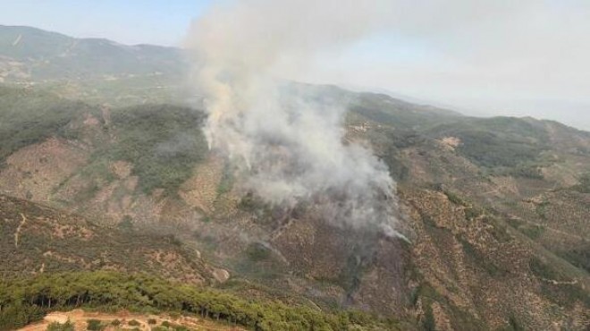 İzmir deki orman yangınında  piknik ateşi  iddiası