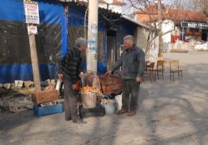 İzmir’in organik köyünün RES’e karşı yargı zaferi 