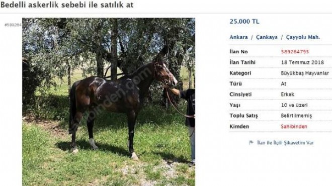 Bedelli askerlik tamam: Atlar satışa çıktı!
