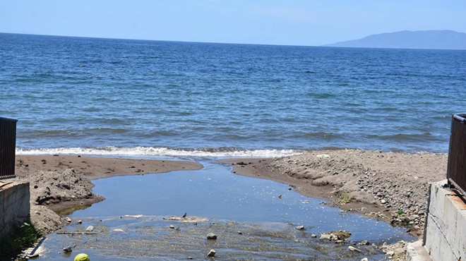 Kirlilik iddialarına belediyeden açıklama: Dikili sahilleri güvenli!