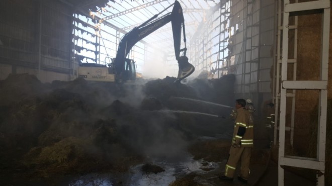 Bergama da besi çiftliğinde yangın: 2 milyon kül oldu!
