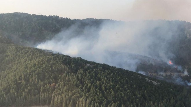 Bergama da çıkan orman yangını kontrol altına alındı