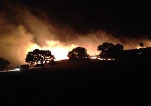 Bergama da korkutan yangın: 3 hektar kül oldu
