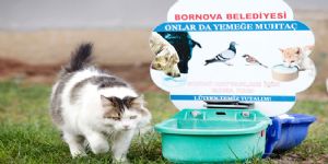 Bornova dan  can dostlarımıza  şefkat