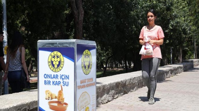 İzmir de 2 belediyeden can dostlara gıda bankası!