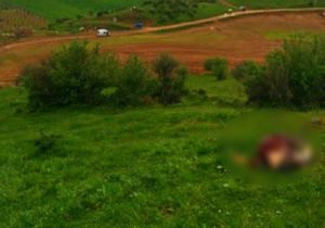 İzmir de merada pompalı dehşet: 1 ölü 1 yaralı