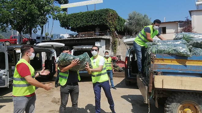 Büyükşehir 48 ton salatalık dağıttı