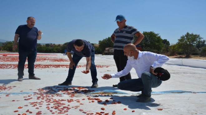 CHP li Polat: Çiftçi ne kadar zarar edeceğini hesaplıyor!