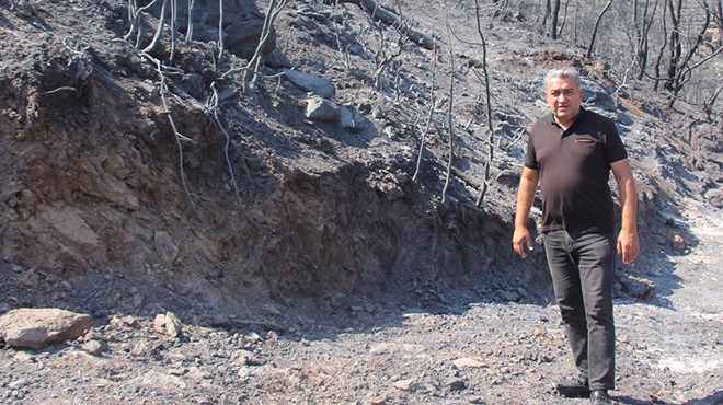 CHP li Serter’den, Pakdemirli’ye orman yangınları çağrısı