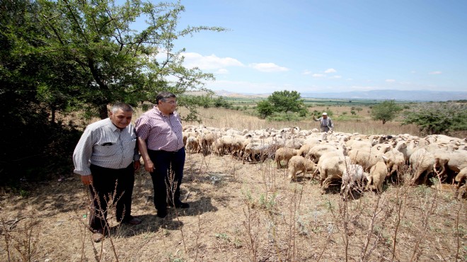CHP li Sındır, Bakan Pakdemirli ye sordu: Vebalı hayvanlar nereden geldi?