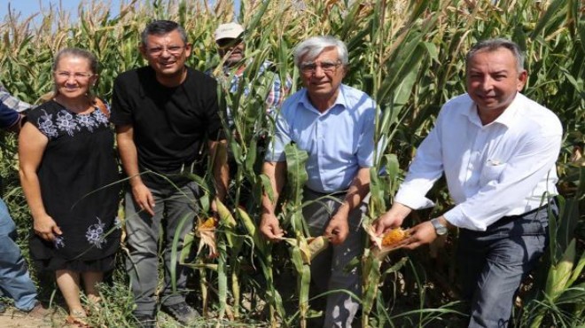 CHP li vekiller domates tarlasında çiftçilerle buluştu