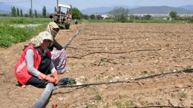 Çiftçilere müjde: O proje Menderes te gerçekleşecek