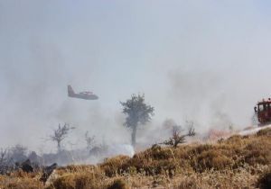 Aliağa’da korkutan yangın: 15 hektar kül oldu 