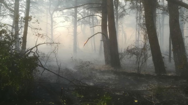 Datça da orman yangını