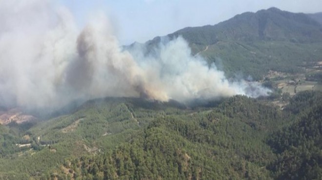 Datça daki orman yangının sebebi belli oldu: İşte tazminat miktarı