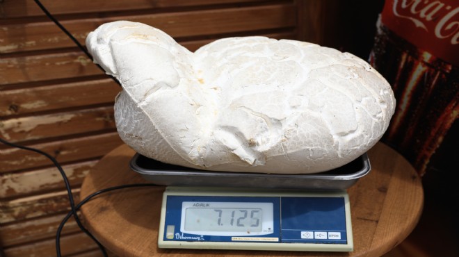 Denizli de 7 kilo 125 gramlık dev mantar bulundu