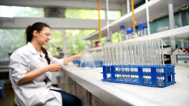 Ege Üniversitesi 4 binden fazla antikor testi yapacak