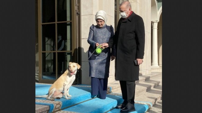 Emine Erdoğan, eşini  Leblebi  ile birlikte uğurladı