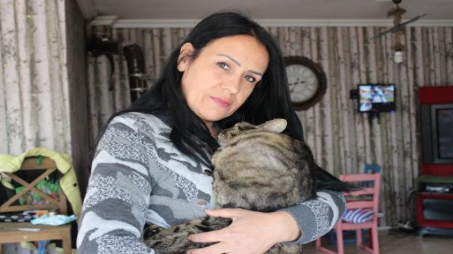 İzmir de felç kalan kediyi sevgisiyle yaşatıyor